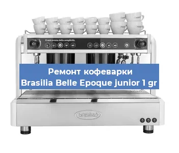 Замена жерновов на кофемашине Brasilia Belle Epoque junior 1 gr в Ижевске